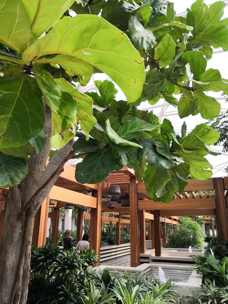 The Avenues - The Gardens Pergola 3