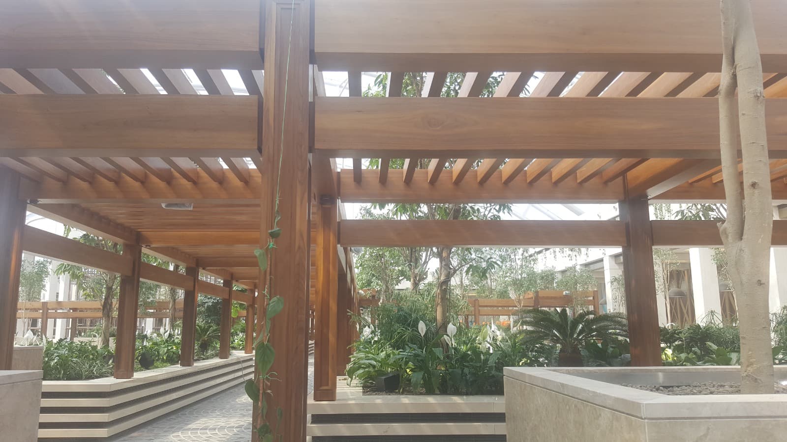 The Avenues - The Gardens Pergola 5