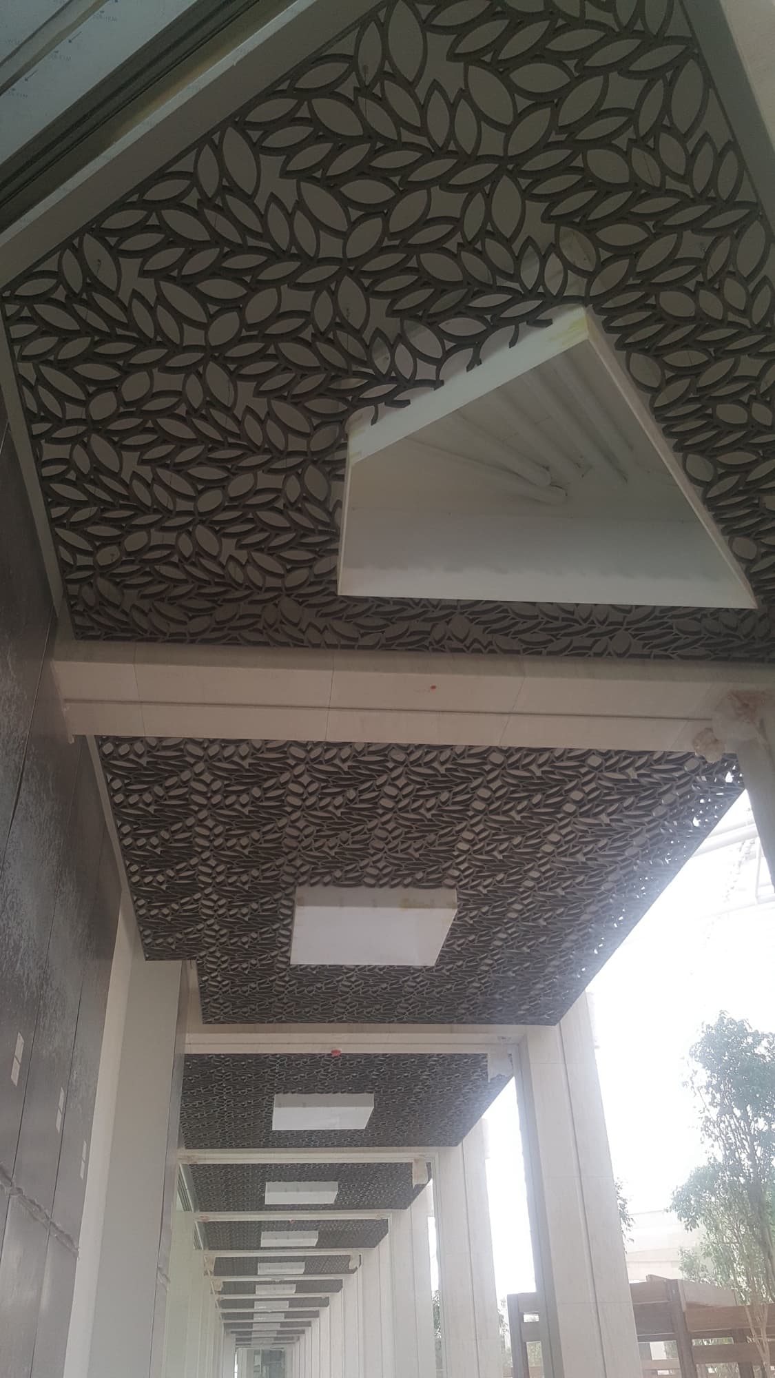 The Avenues - The Gardens Ceiling 5