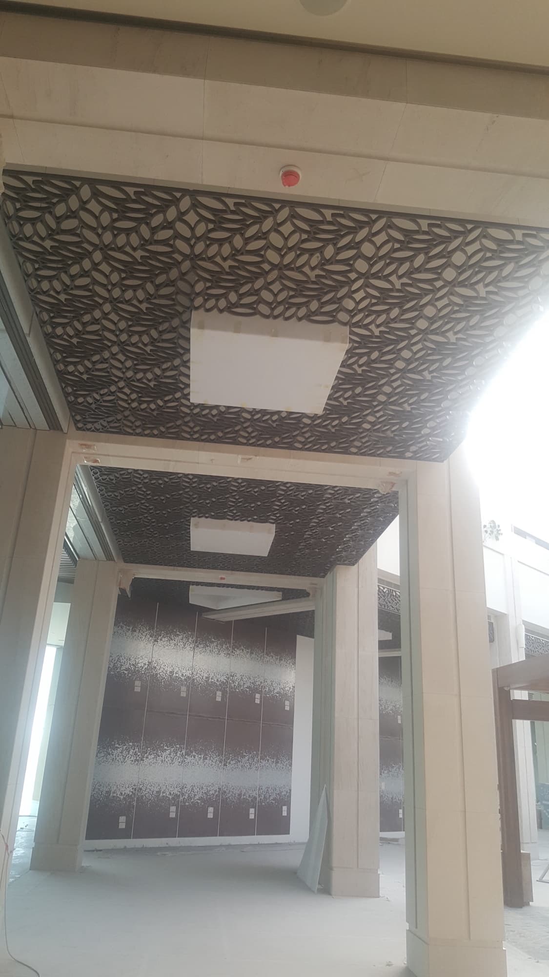The Avenues - The Gardens Ceiling 5